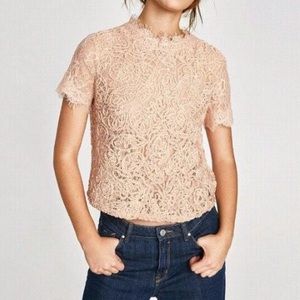 Zara light pink lace shirt
